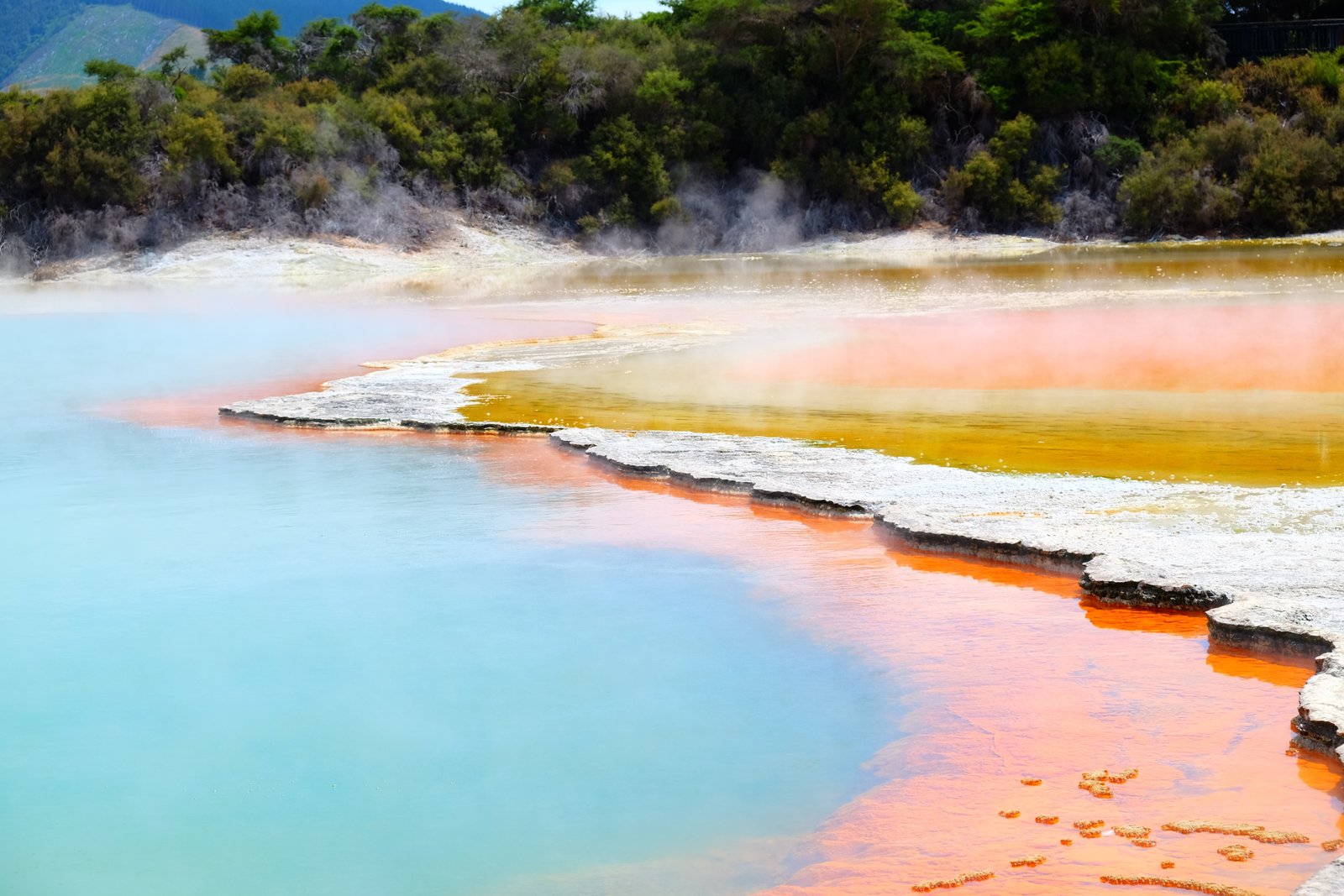 Rotorua Geothermal